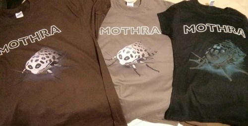 11880631_10153533179742836_6967707434740739700_n (1)